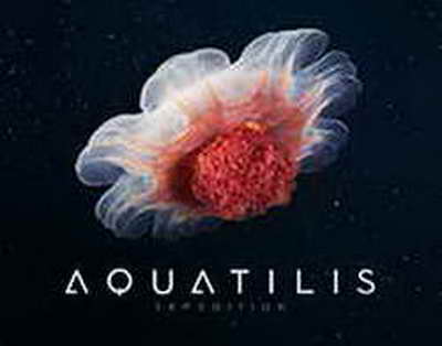 Экс-главреда Readovka Алексея Костылёва подозревают в хищении миллиарда рублей у Минобороны СМИ