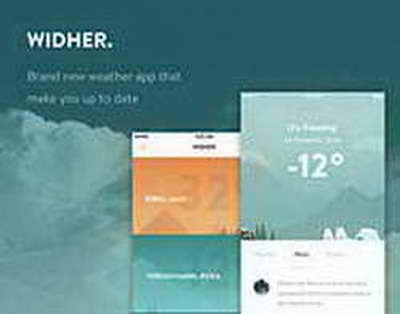 В селе Гжатск Новосибирской области ввели карантин по бешенству