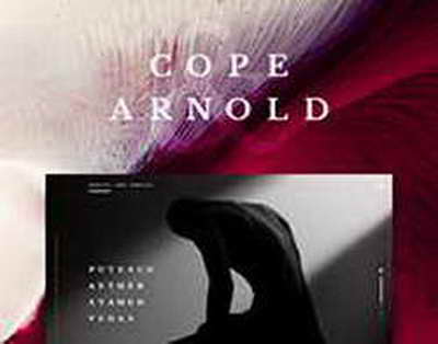 Капризов: Вратарь Сент-Луиса сыграл очень хорошо