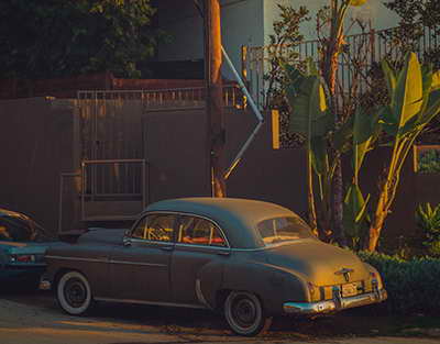 Собака тогда чудом осталась в живых // Владимир Осипов об использовании животных в качестве символов команд